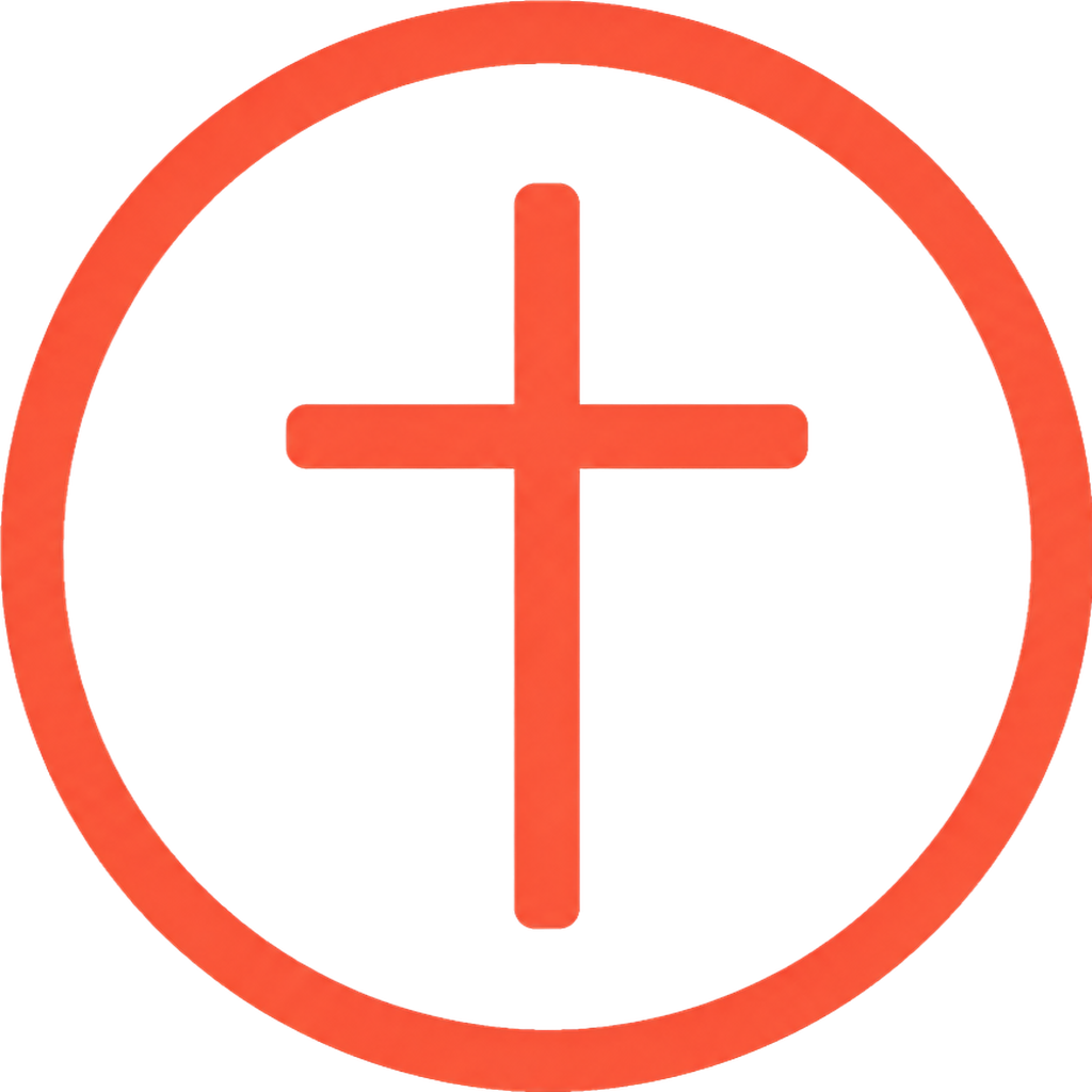 The Practicum mark